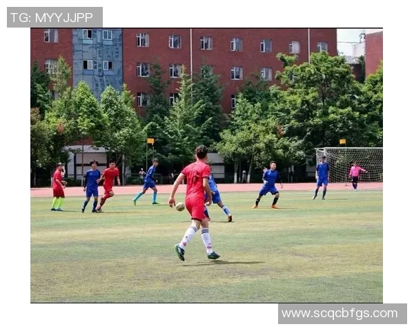 上海羽毛球队边路渗透战术解析与深度剖析 上海羽毛球队边路渗透战术解析与深度剖析