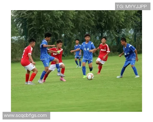 摇摇说足球：探讨足球背后的故事与文化，带你领略精彩赛事与球员风采