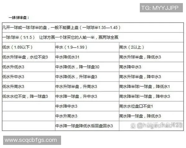 足球买水位解析如何精准把握投注机会提升胜率技巧