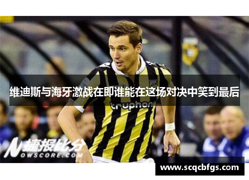 维迪斯与海牙激战在即谁能在这场对决中笑到最后